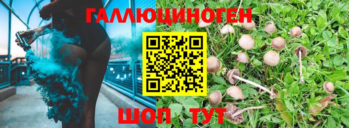 Галлюциногенные грибы Magic Shrooms  Вход с VPN  Галлюциногенные грибы GOLDEN TEACHER  цены   Волгодонск 