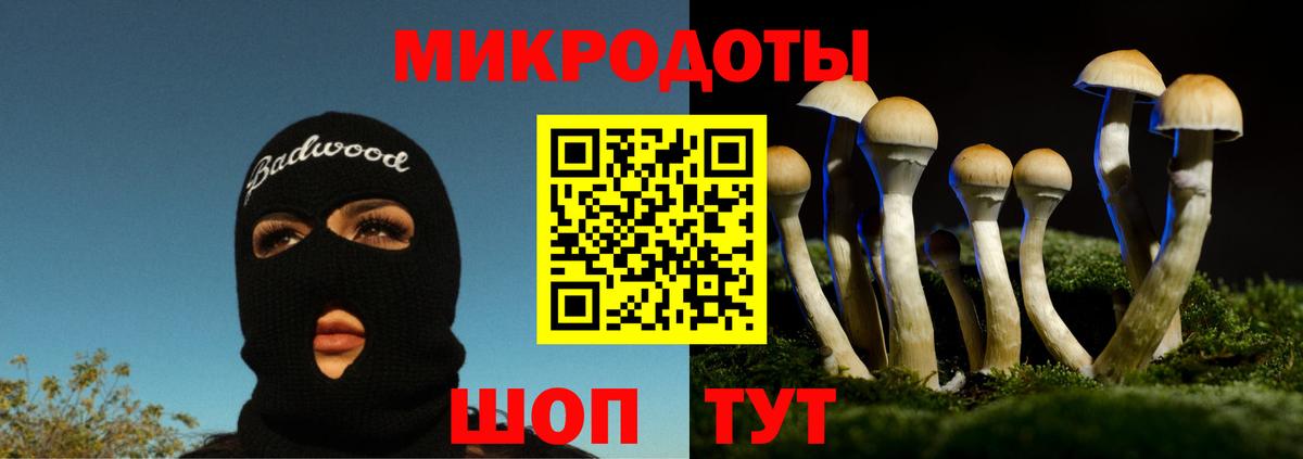Псилоцибиновые грибы мухоморы Волгодонск